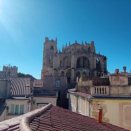 Studio Terrasse Vue Cathedrale Narbonne Exterior foto